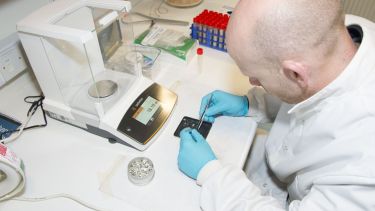 Bone sample analysis in the lab